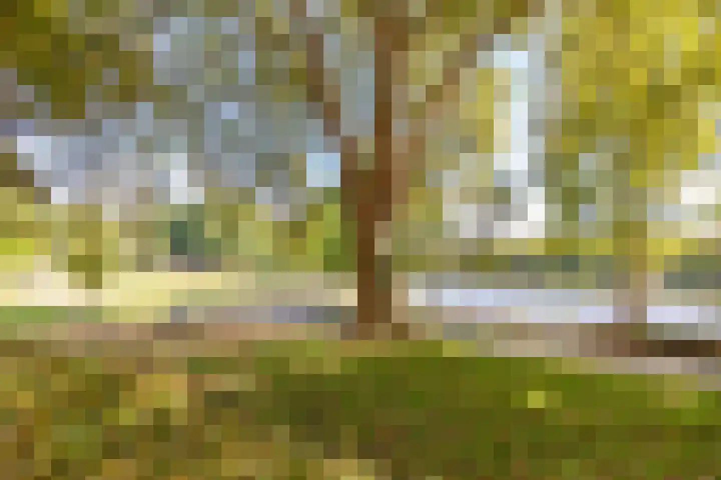 Ir. Op den Kampstraat 4 Brunssum thumbnail 30