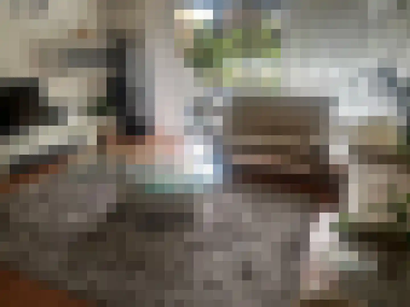 Ir. Op den Kampstraat 4 Brunssum thumbnail 5