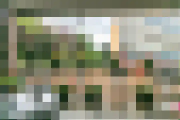 Ir. Op den Kampstraat 58 Brunssum thumbnail 24