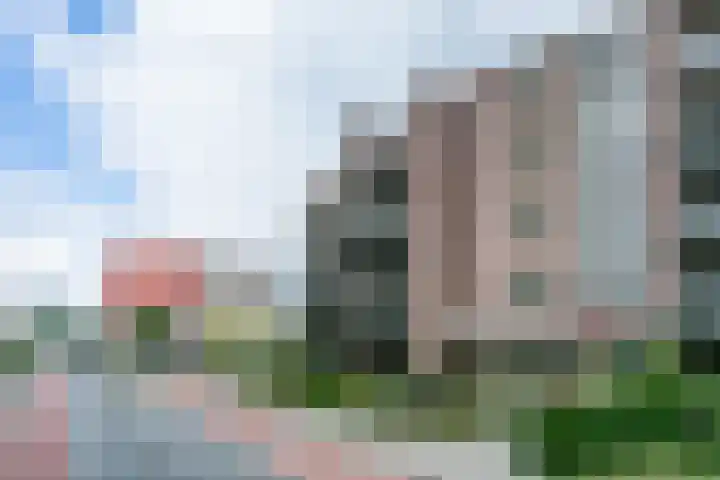 Ir. Op den Kampstraat 58 Brunssum thumbnail 31