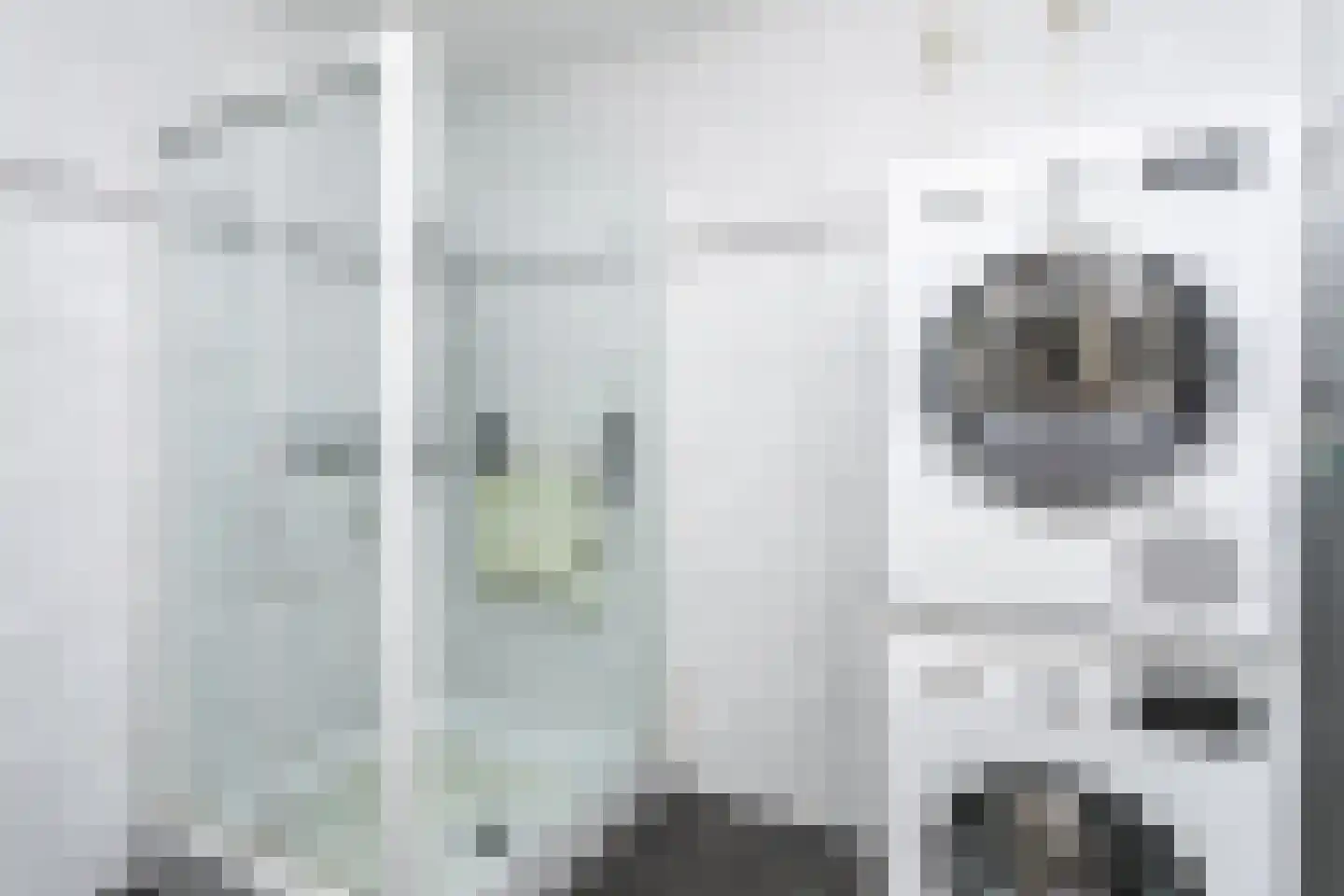 Ir. Op den Kampstraat 68 Brunssum thumbnail 29