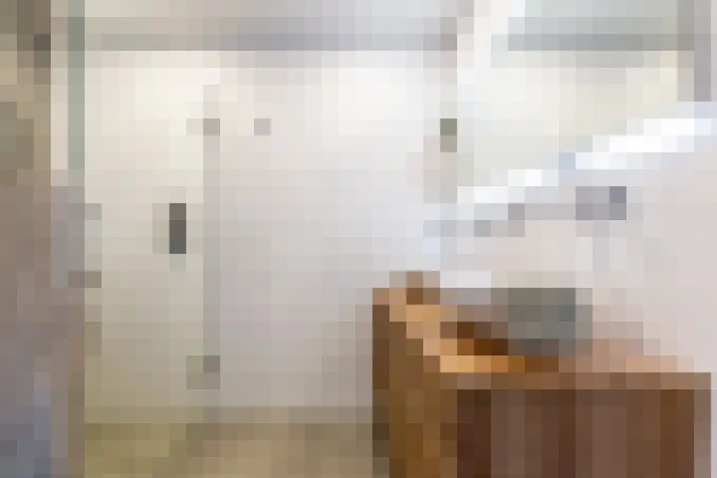 Ir. P. Calandstraat 4 Harderwijk thumbnail 26