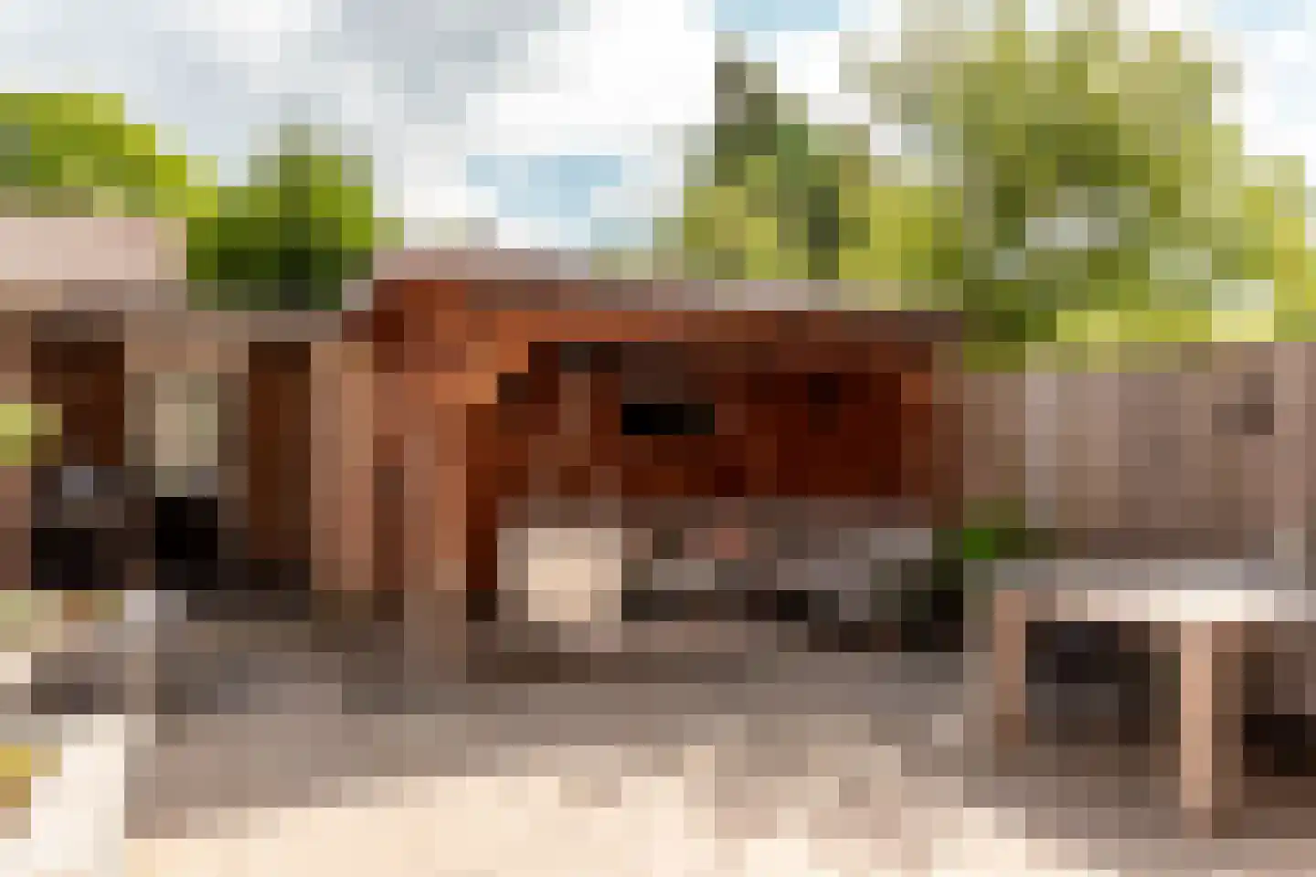 Ir. P. Calandstraat 4 Harderwijk thumbnail 33
