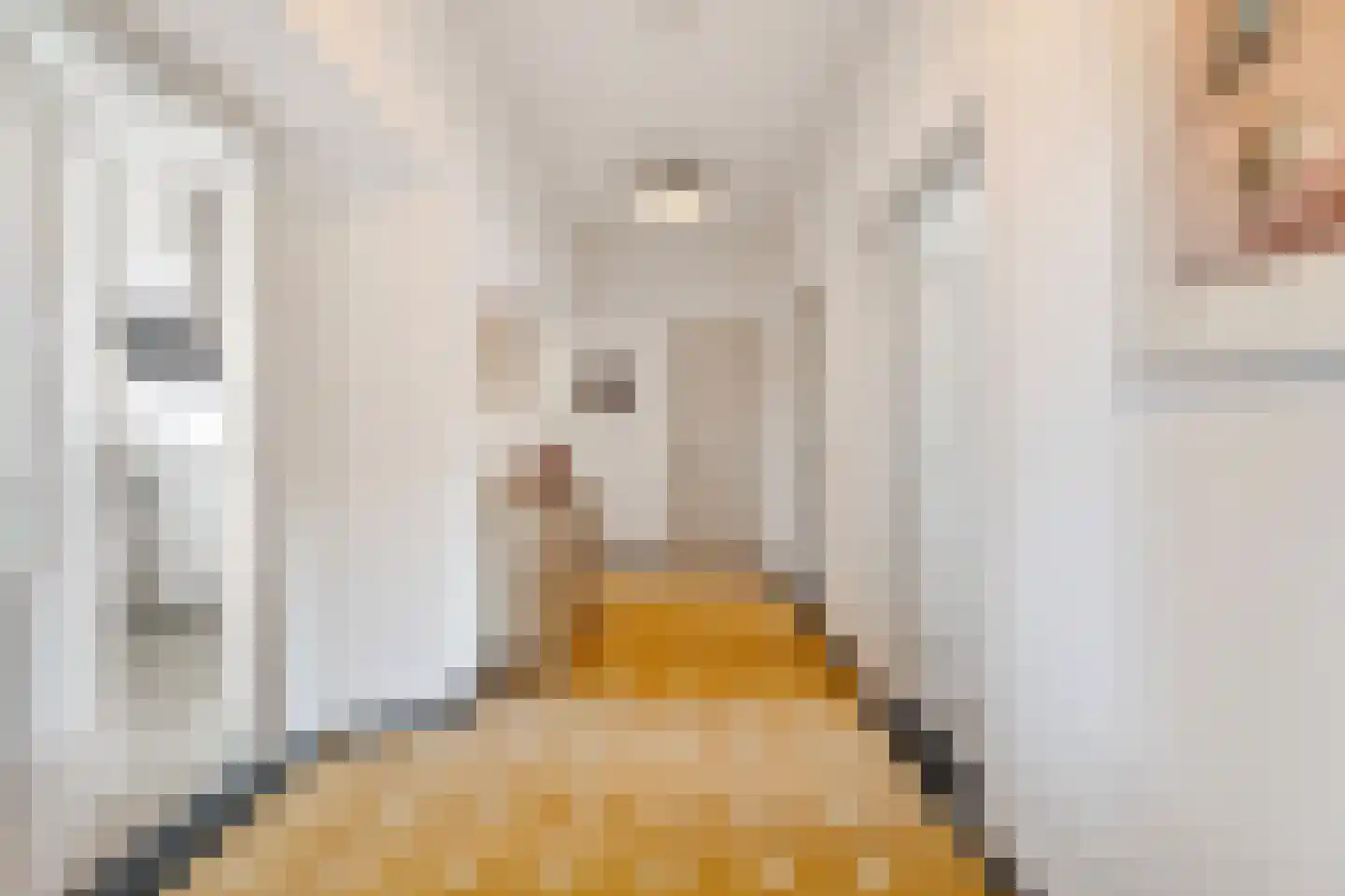 Ir. Smedingplein 1 a Wieringerwerf thumbnail 13