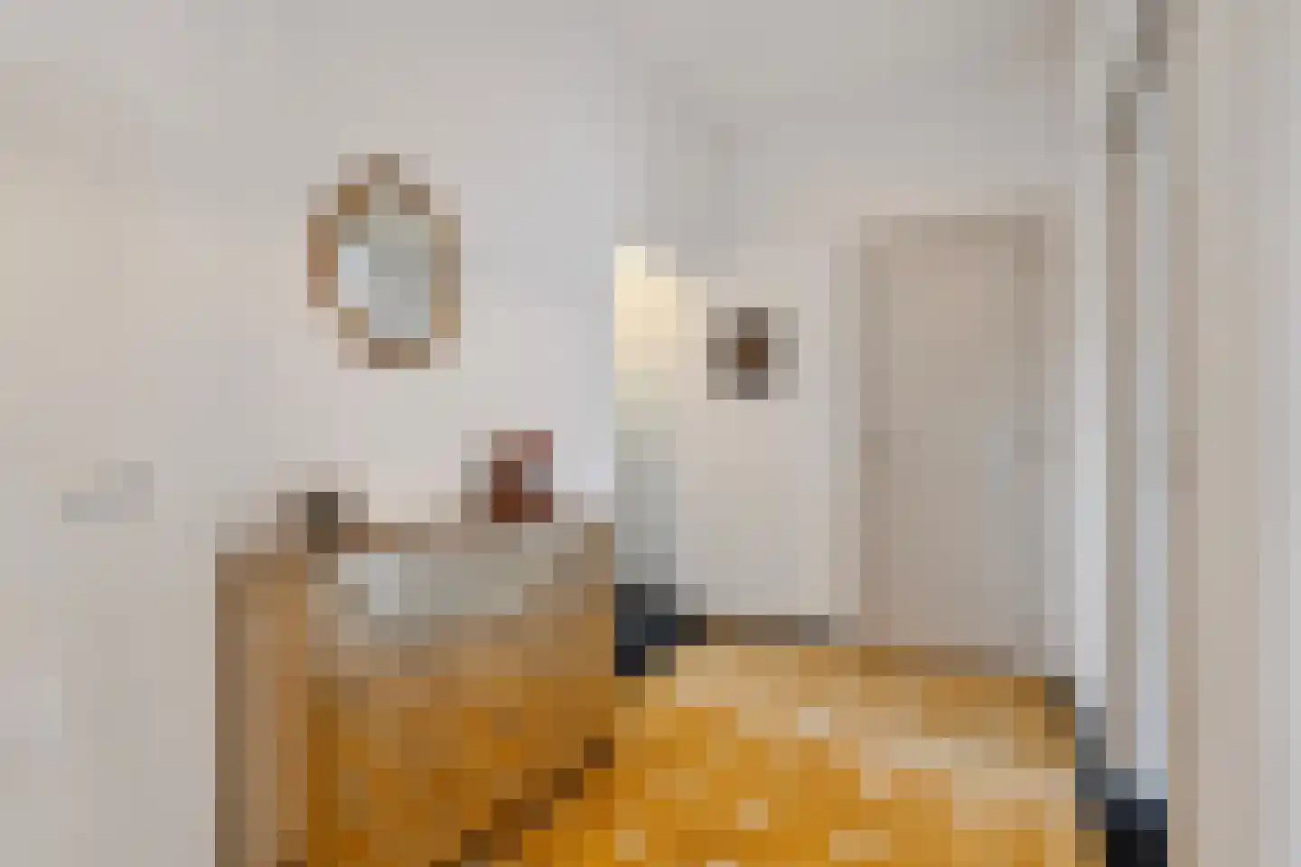 Ir. Smedingplein 1 a Wieringerwerf thumbnail 15