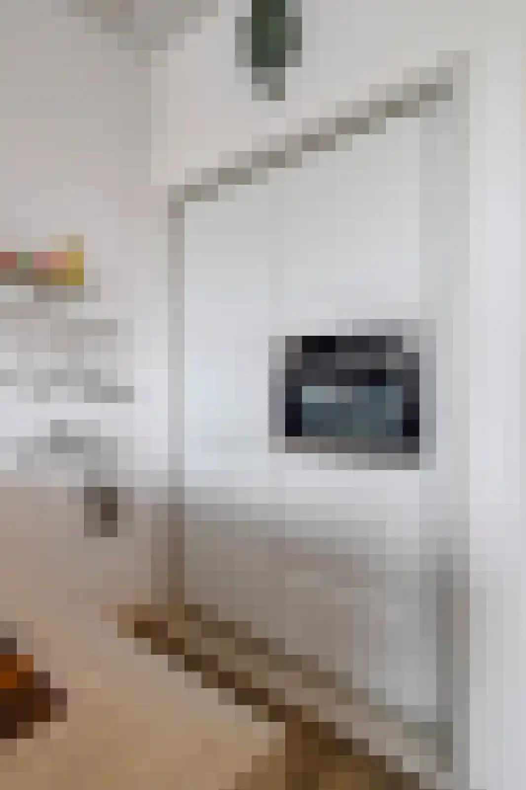Ir. Smedingplein 1 a Wieringerwerf thumbnail 29