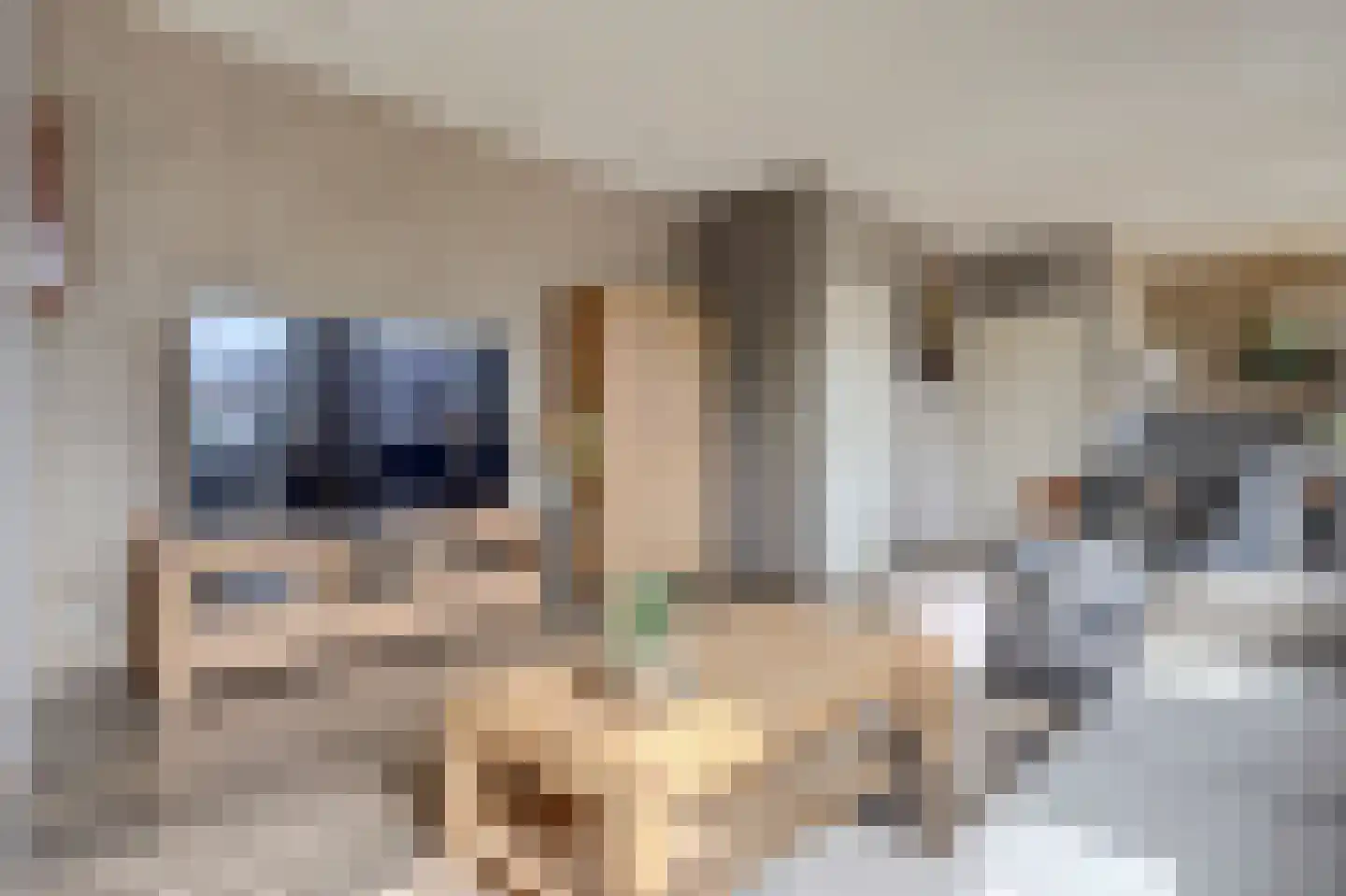 Ir. Smedingplein 1 Wieringerwerf thumbnail 13