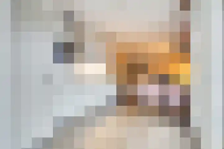 Ir. Smedingplein 11 a Wieringerwerf thumbnail 12