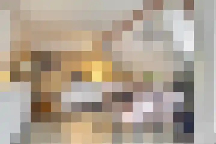 Ir. Smedingplein 11 a Wieringerwerf thumbnail 13