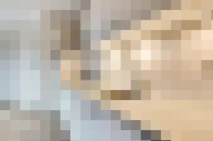 Ir. Smedingplein 11 a Wieringerwerf thumbnail 14
