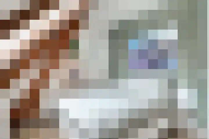 Ir. Smedingplein 11 a Wieringerwerf thumbnail 20