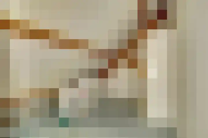 Ir. Smedingplein 11 a Wieringerwerf thumbnail 26