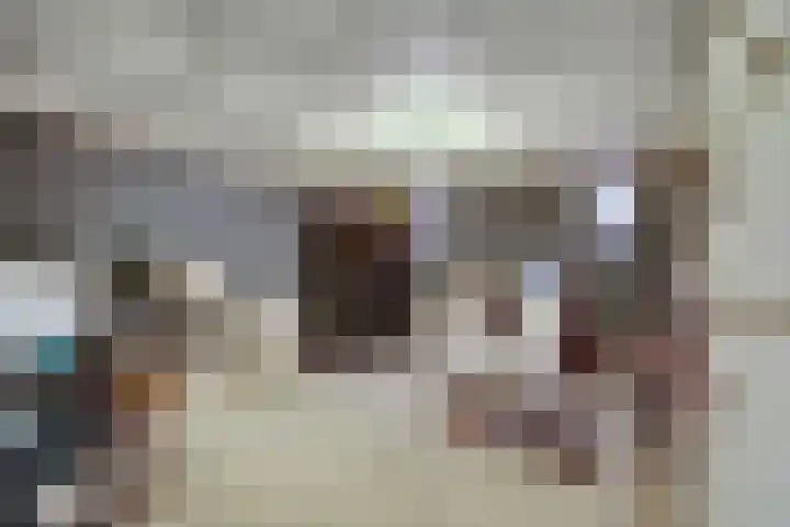 Ir. Smedingplein 11 a Wieringerwerf thumbnail 28