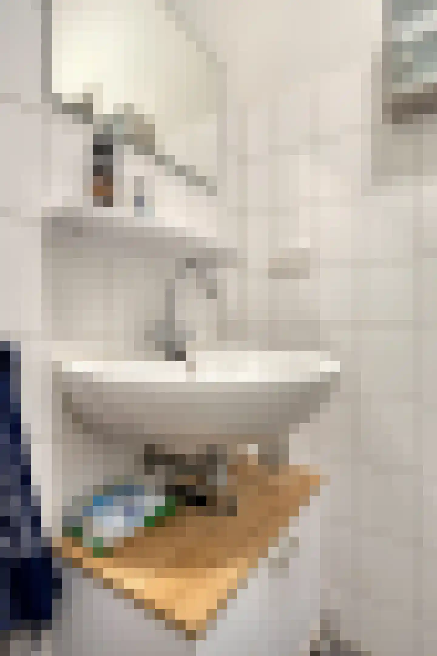 Ir. Smedingplein 3 Wieringerwerf thumbnail 19