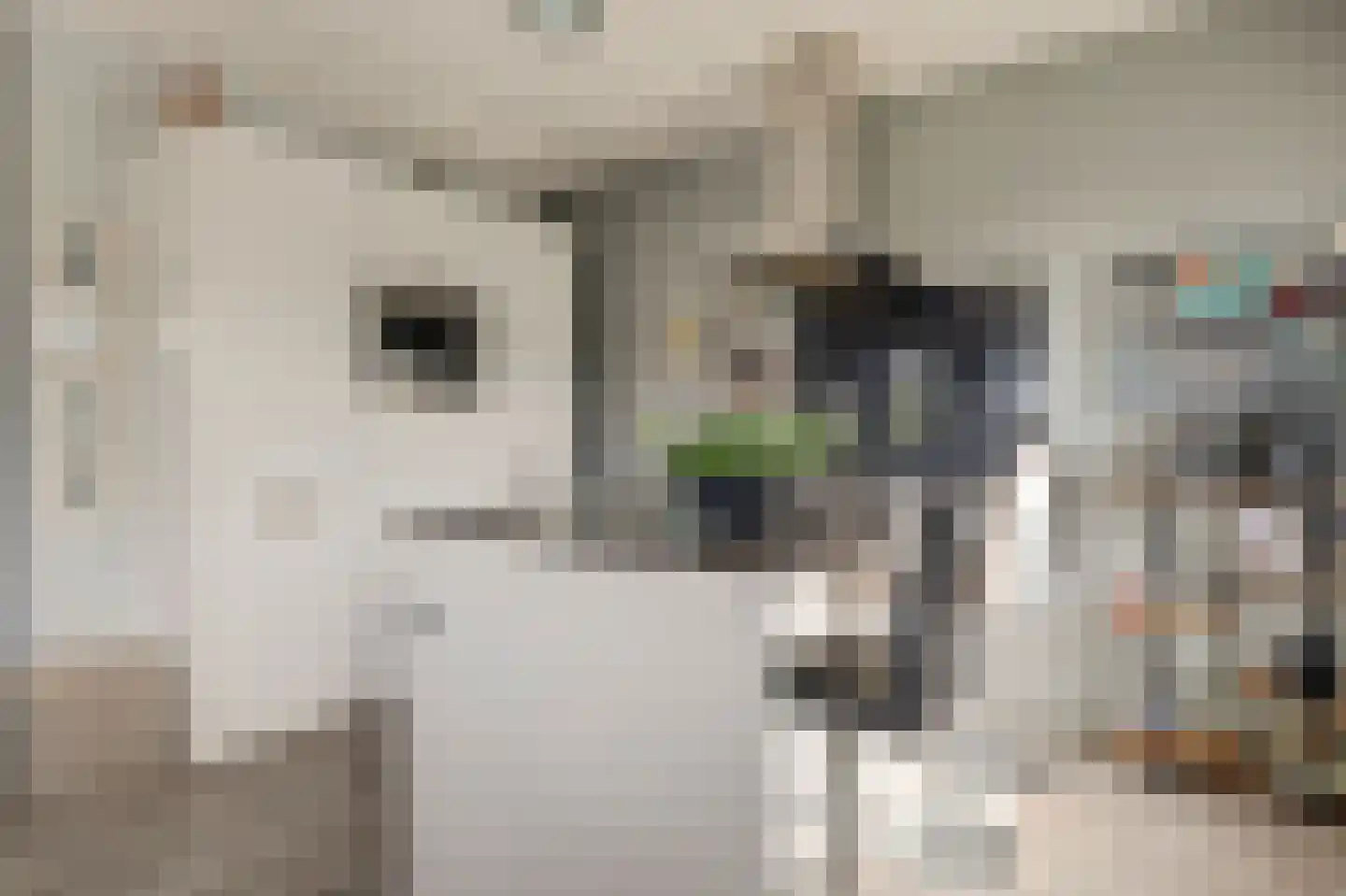 Ir. Smedingplein 33 Wieringerwerf thumbnail 17