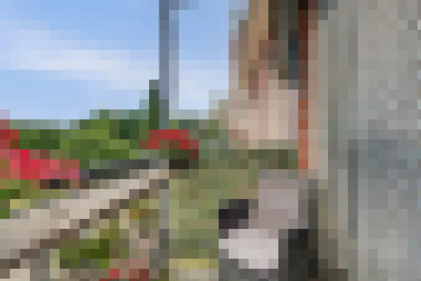 Ir. Smedingplein 33 Wieringerwerf thumbnail 27