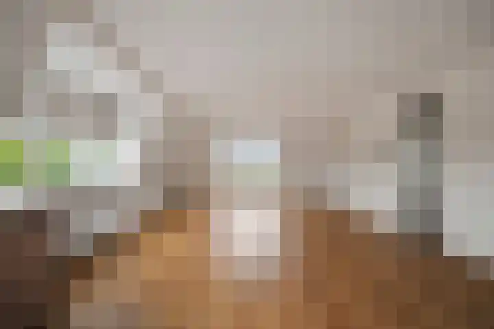 Ir. Smedingplein 43 Wieringerwerf thumbnail 13