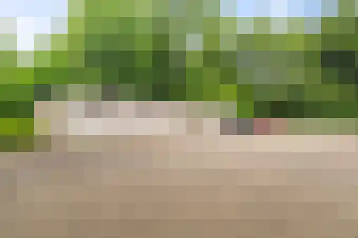 Ir. Smedingplein 43 Wieringerwerf thumbnail 20