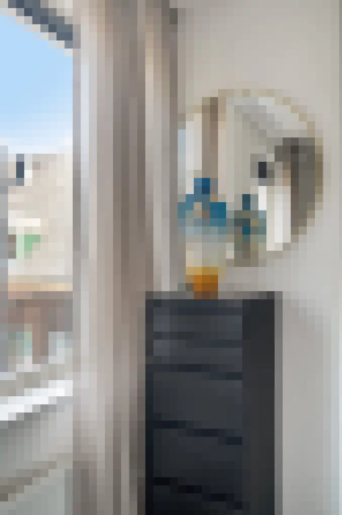 Ir. Smedingplein 47 Wieringerwerf thumbnail 28