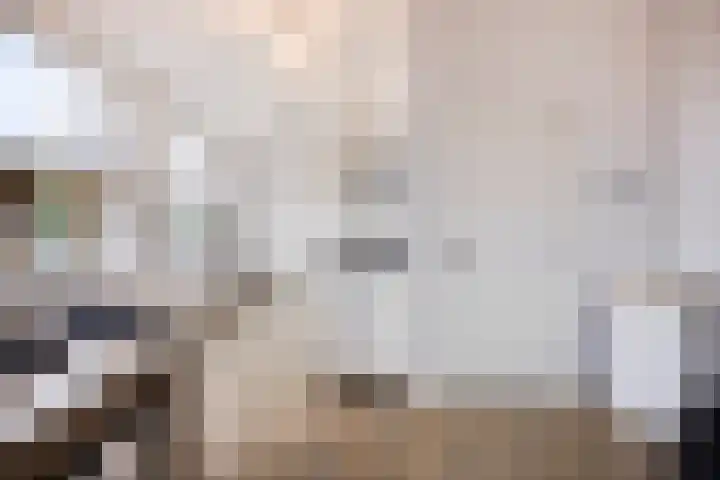 Ir. Smedingplein 5 a Wieringerwerf thumbnail 14