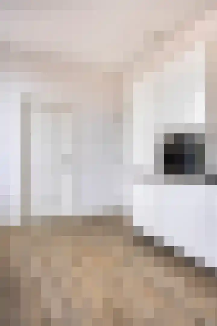 Ir. Smedingplein 5 a Wieringerwerf thumbnail 19