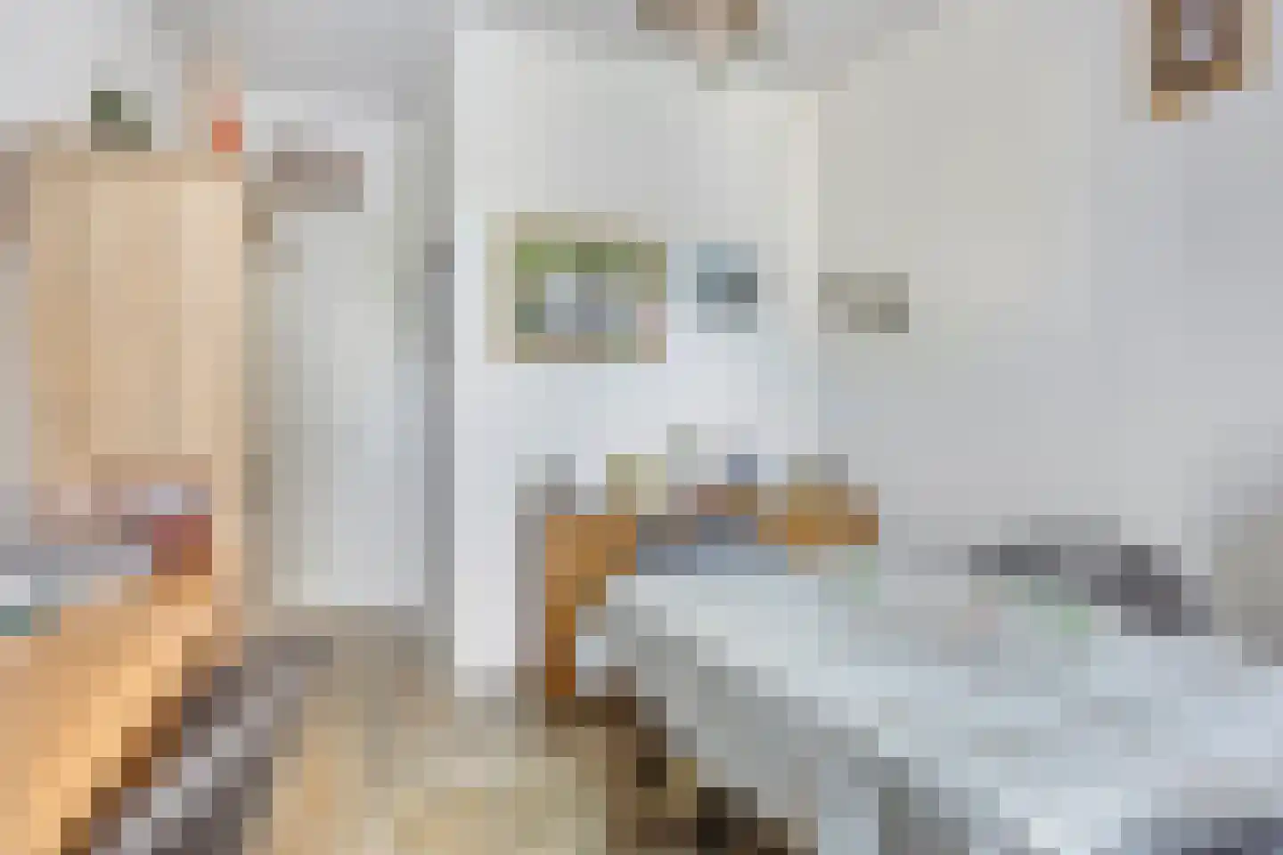 Ir. Smedingplein 7 Wieringerwerf thumbnail 32