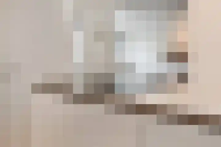 Ir. van der Sluijsplantsoen 20 Den Haag thumbnail 12