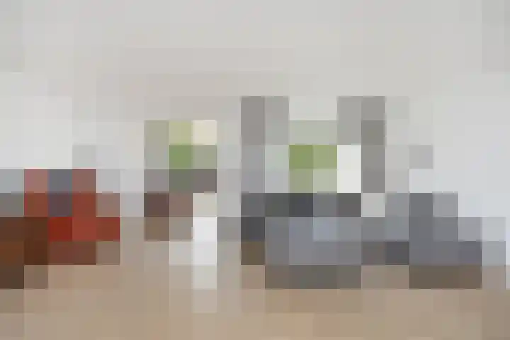 Ir. van der Sluijsplantsoen 20 Den Haag thumbnail 17