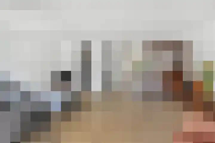 Ir. van der Sluijsplantsoen 20 Den Haag thumbnail 19
