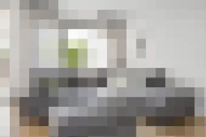 Ir. van der Sluijsplantsoen 20 Den Haag thumbnail 20