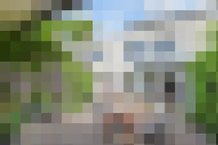 Ir. van der Sluijsplantsoen 20 Den Haag thumbnail 23