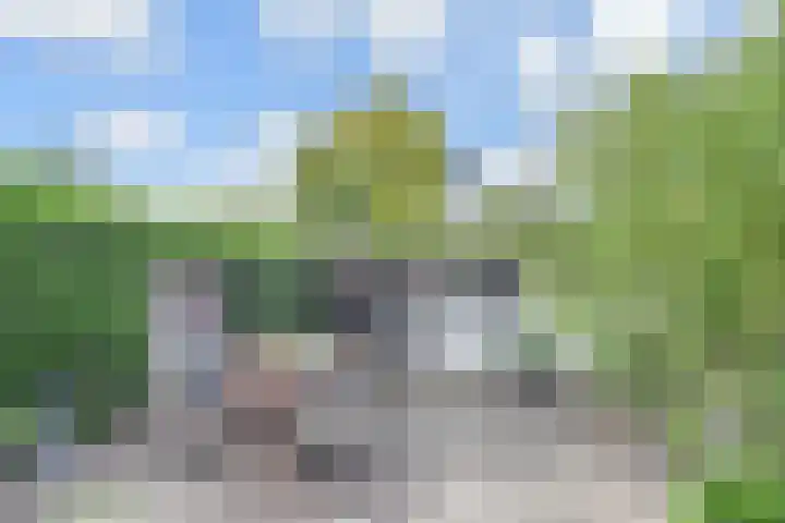 Ir. van der Sluijsplantsoen 20 Den Haag thumbnail 24