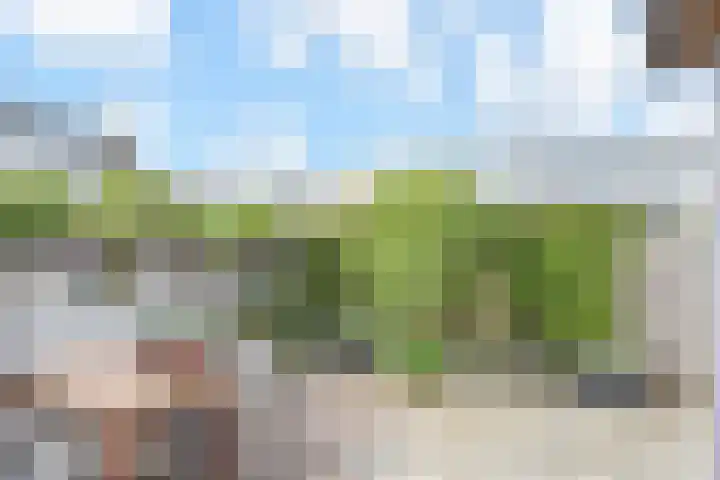 Ir. van der Sluijsplantsoen 20 Den Haag thumbnail 29