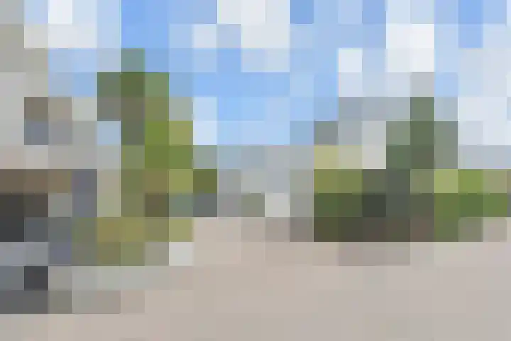 Ir. van der Sluijsplantsoen 20 Den Haag thumbnail 52
