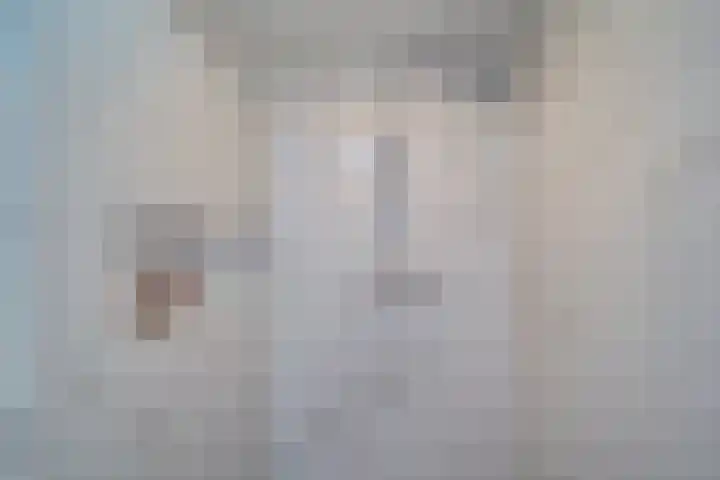 Ir. van der Sluijsplantsoen 47 Den Haag thumbnail 13