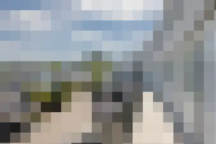 Ir. van der Sluijsplantsoen 47 Den Haag thumbnail 28
