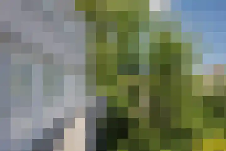 Ir. van der Sluijsplantsoen 47 Den Haag thumbnail 29