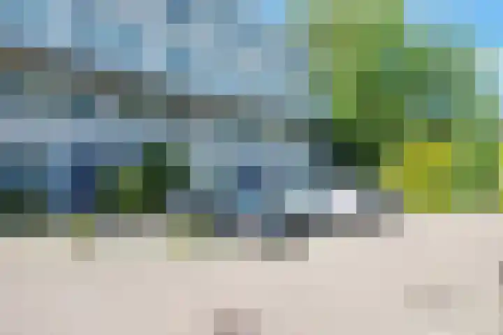 Ir. van der Sluijsplantsoen 47 Den Haag thumbnail 32