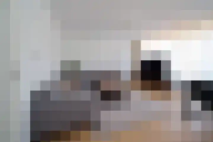 Ir. van der Sluijsplantsoen 47 Den Haag thumbnail 4