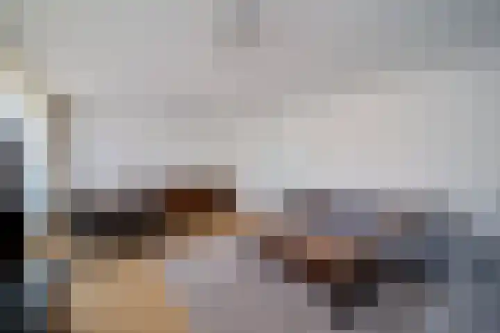 Ir. van der Sluijsplantsoen 47 Den Haag thumbnail 5