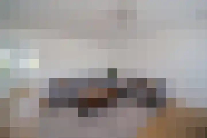 Ir. van der Sluijsplantsoen 47 Den Haag thumbnail 6