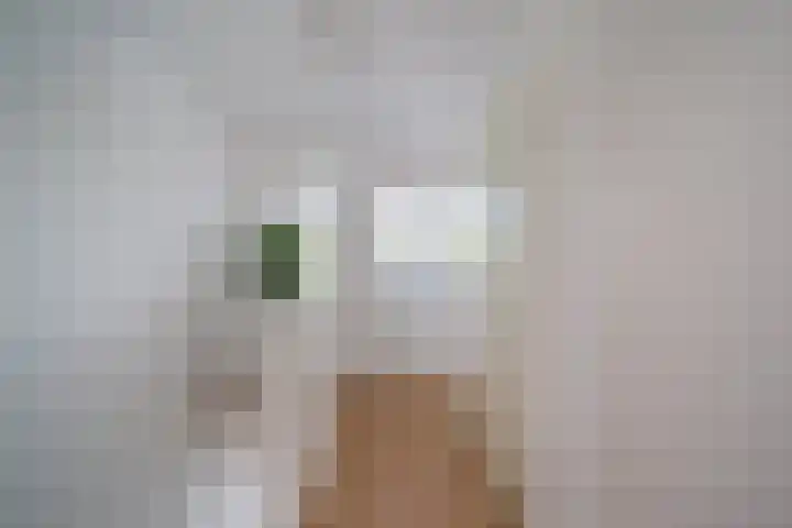 Ir. van der Sluijsplantsoen 47 Den Haag thumbnail 7