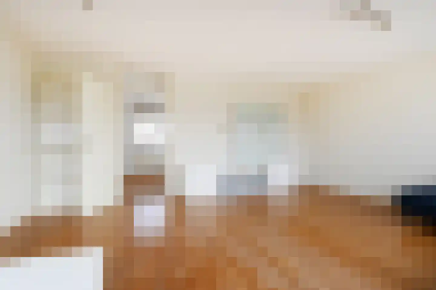 Ir. van der Sluijsplantsoen 49 Den Haag thumbnail 12