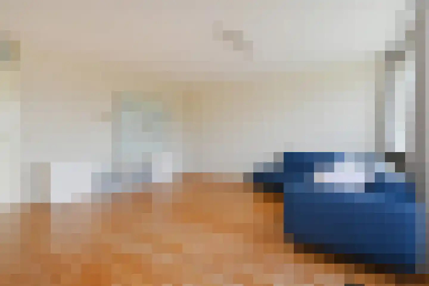 Ir. van der Sluijsplantsoen 49 Den Haag thumbnail 18