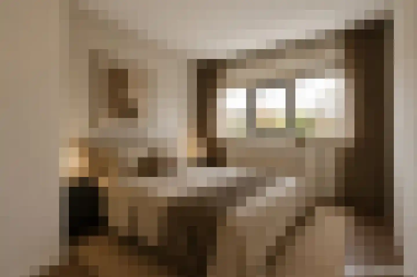 Ir. van der Sluijsplantsoen 49 Den Haag thumbnail 24