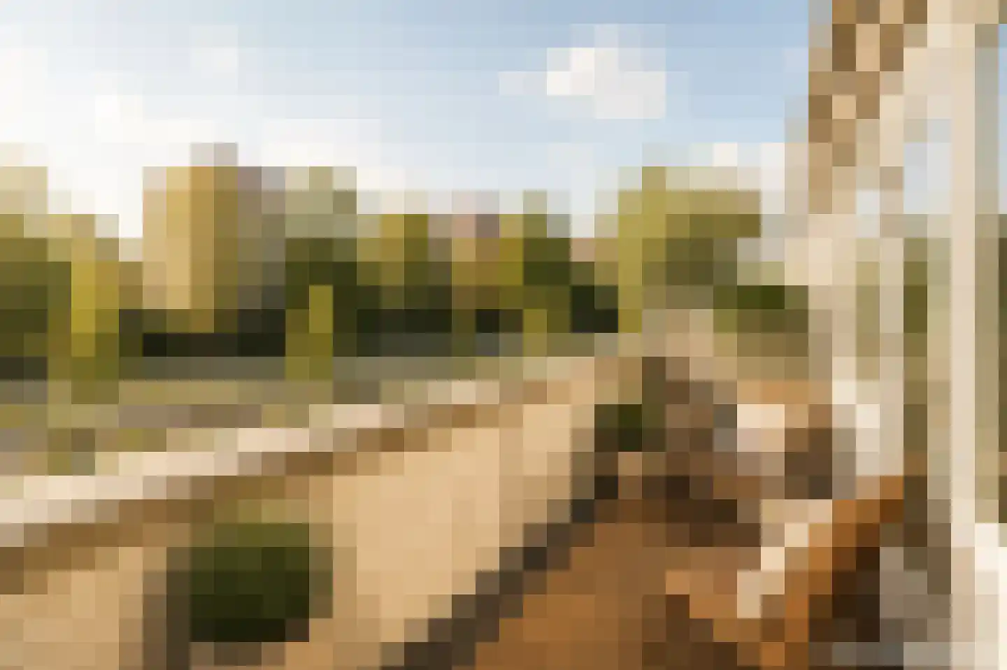 Ir. van der Sluijsplantsoen 49 Den Haag thumbnail 6