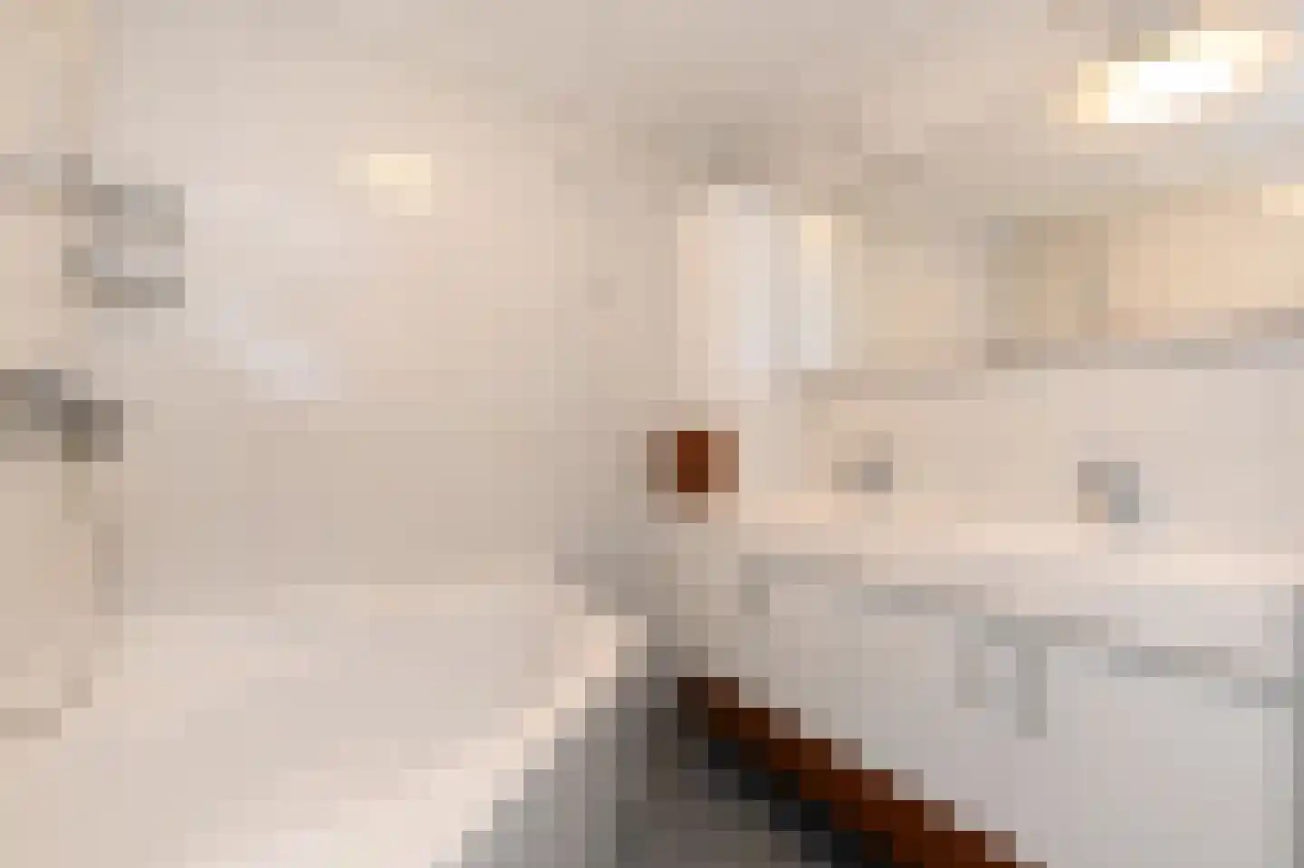 Ir. van der Sluijsplantsoen 49 Den Haag thumbnail 8