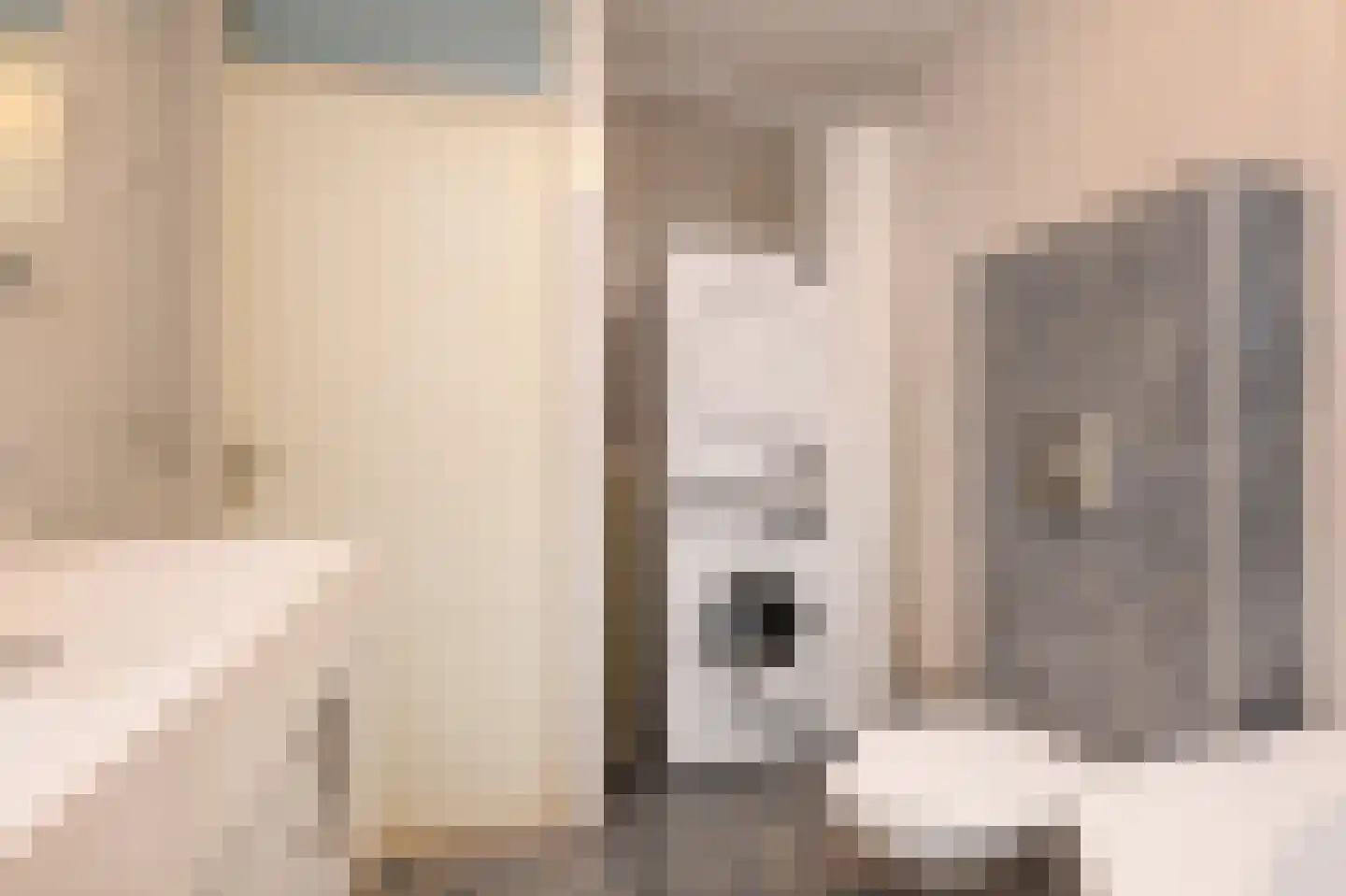 Ir. van der Sluijsplantsoen 49 Den Haag thumbnail 9