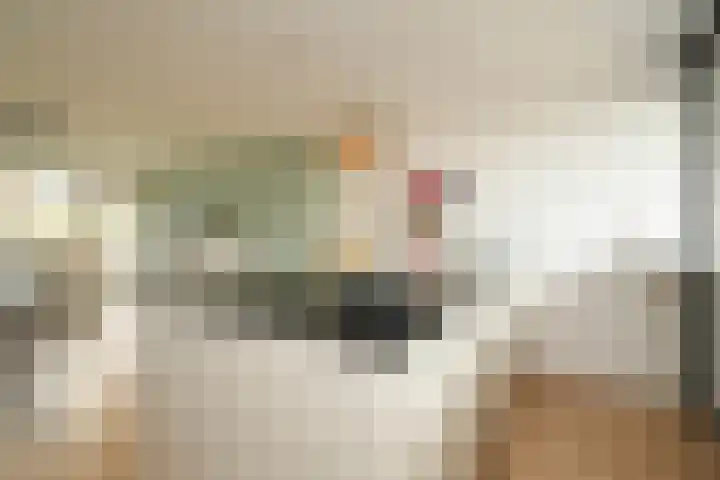 Ir. van der Sluijsplantsoen 81 Den Haag thumbnail 17