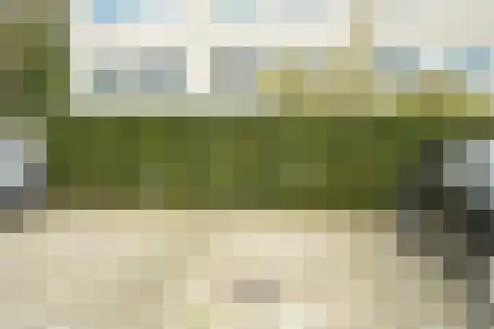 Ir. van der Sluijsplantsoen 81 Den Haag thumbnail 34